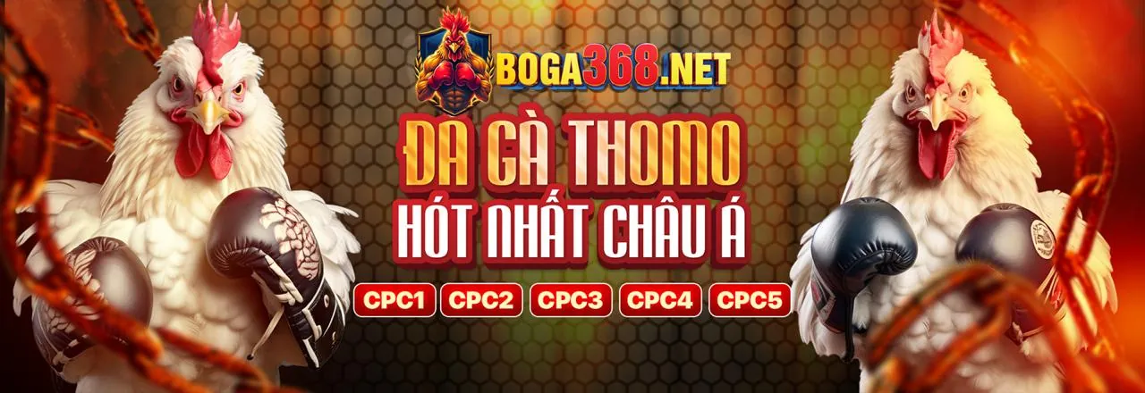 Hình ảnh cá cược bóng đá sôi động tại c54 link vào
