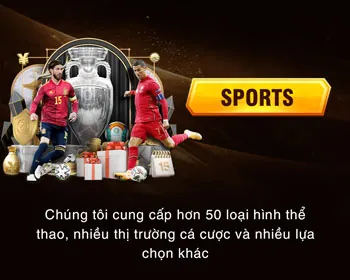 Hỗ trợ khách hàng 24/7 của C54
